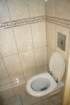 Toilet reinigen